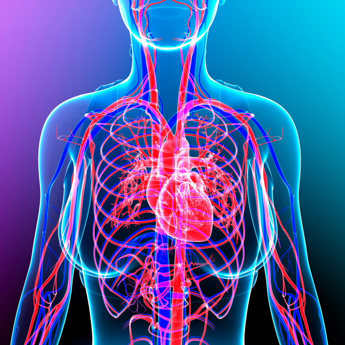 Using TENS therapy for circulation of blood, lymph and fluids.