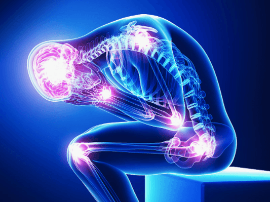 THE CHRONICLES OF CHRONIC PAIN